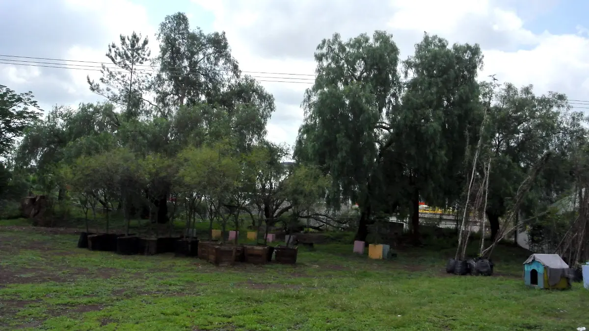 PARQUE ECOLOGICO DE IRAPUATO (1)